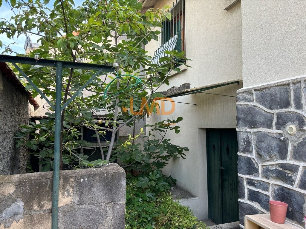 Photo 7 : maison de ville des années 30 avec annexes cabanon et cave