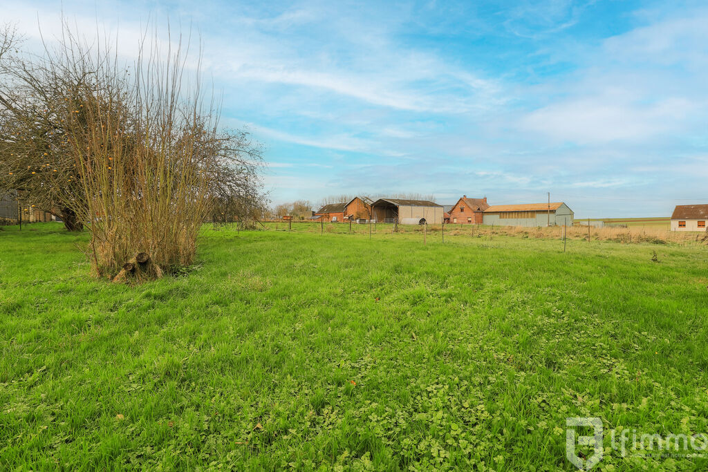 Photo 18 : Ferme et sont gîte