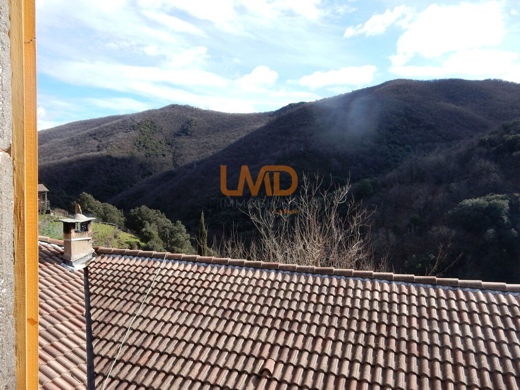 Photo 10 : Vue vallée plein sud – Authentique maison cévenole