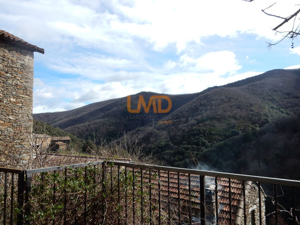 Photo 14 : Vue vallée plein sud – Authentique maison cévenole