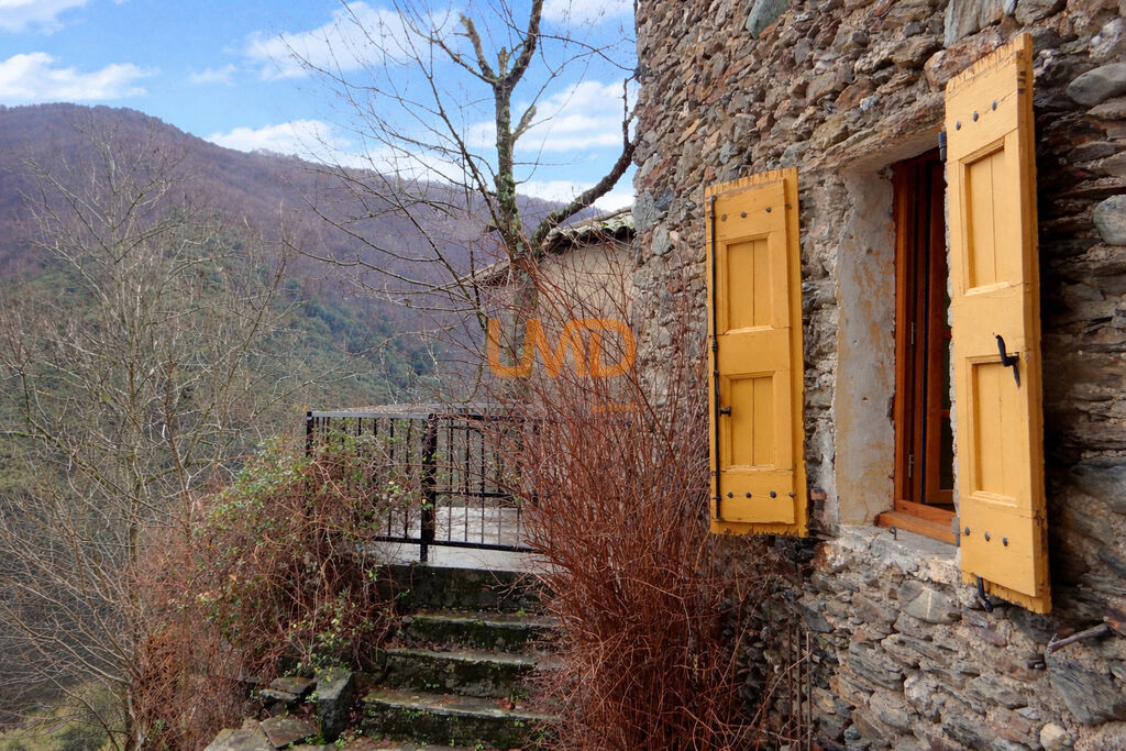 Photo 16 : Vue vallée plein sud – Authentique maison cévenole