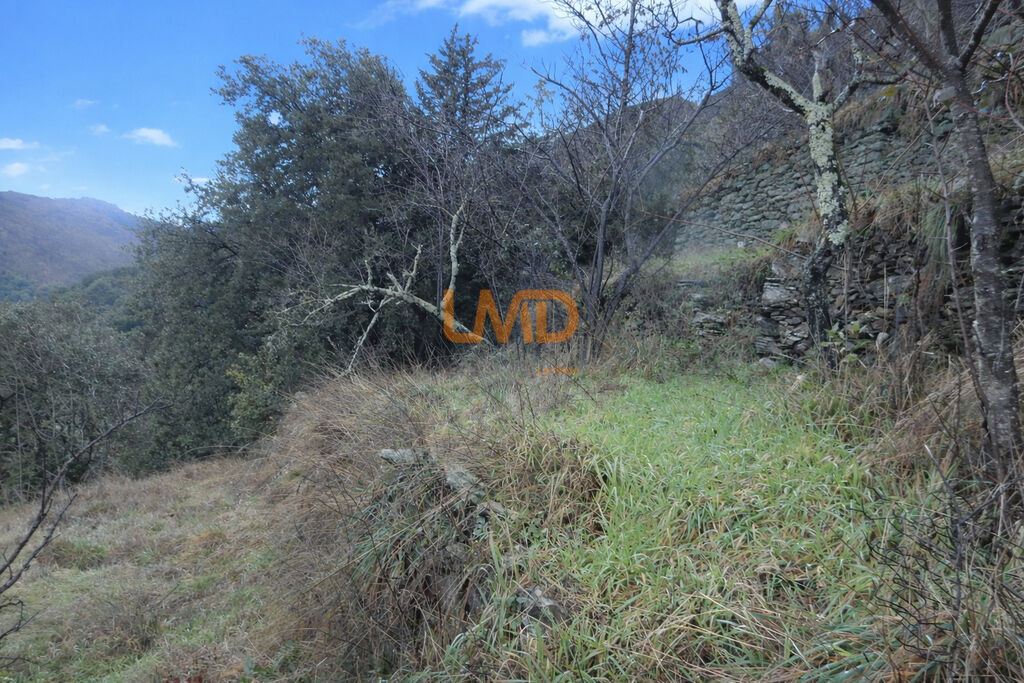 Photo 24 : Vue vallée plein sud – Authentique maison cévenole