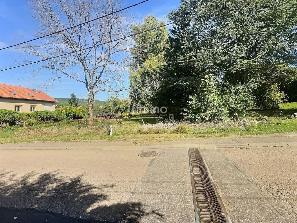 Photo 4 : Terrain constructible de plus de 35 ares