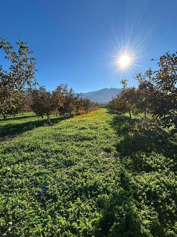 Photo 2 : Mas en pleine nature