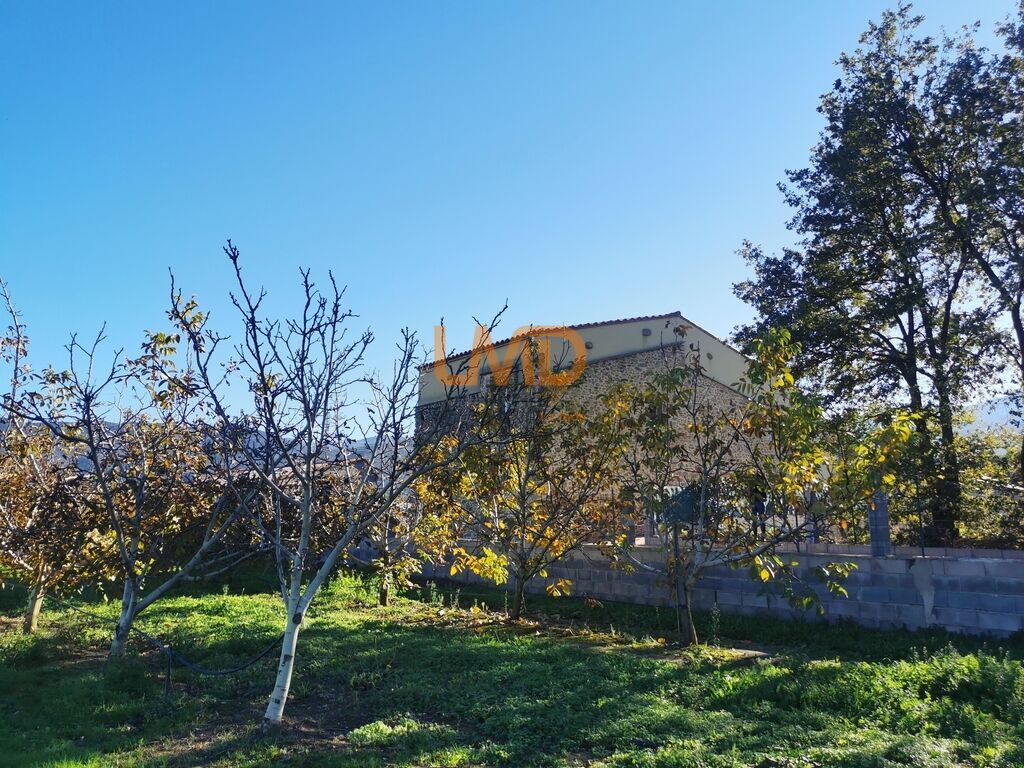 Photo 4 : Mas en pleine nature