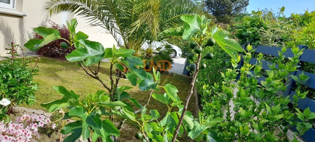 Photo 14 : Maison BBC Plain-Pied  3 chambres à St-Aignan-Grand Lieu