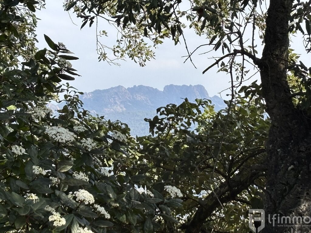 Photo 9 : Maison de vacances en bois de 4 pièces