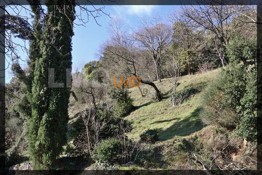 Photo 30 : Charmante maison en pierre avec dépendance et terrain boisé