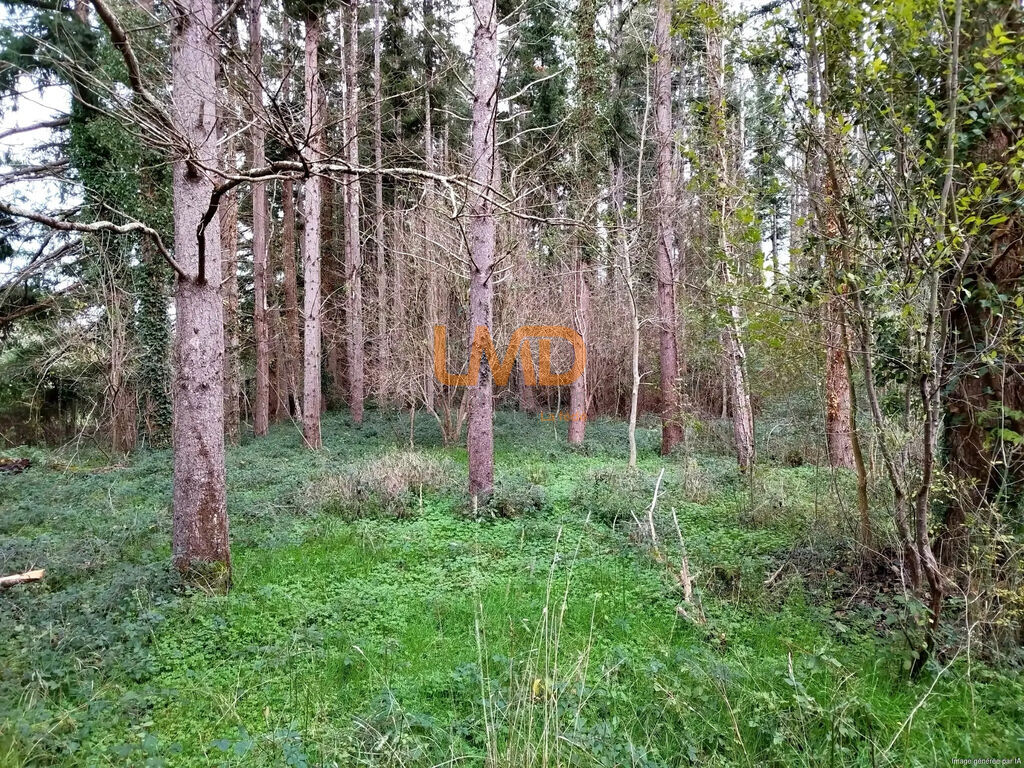 Photo 13 : Maison familiale de 120m² - 3 chambres