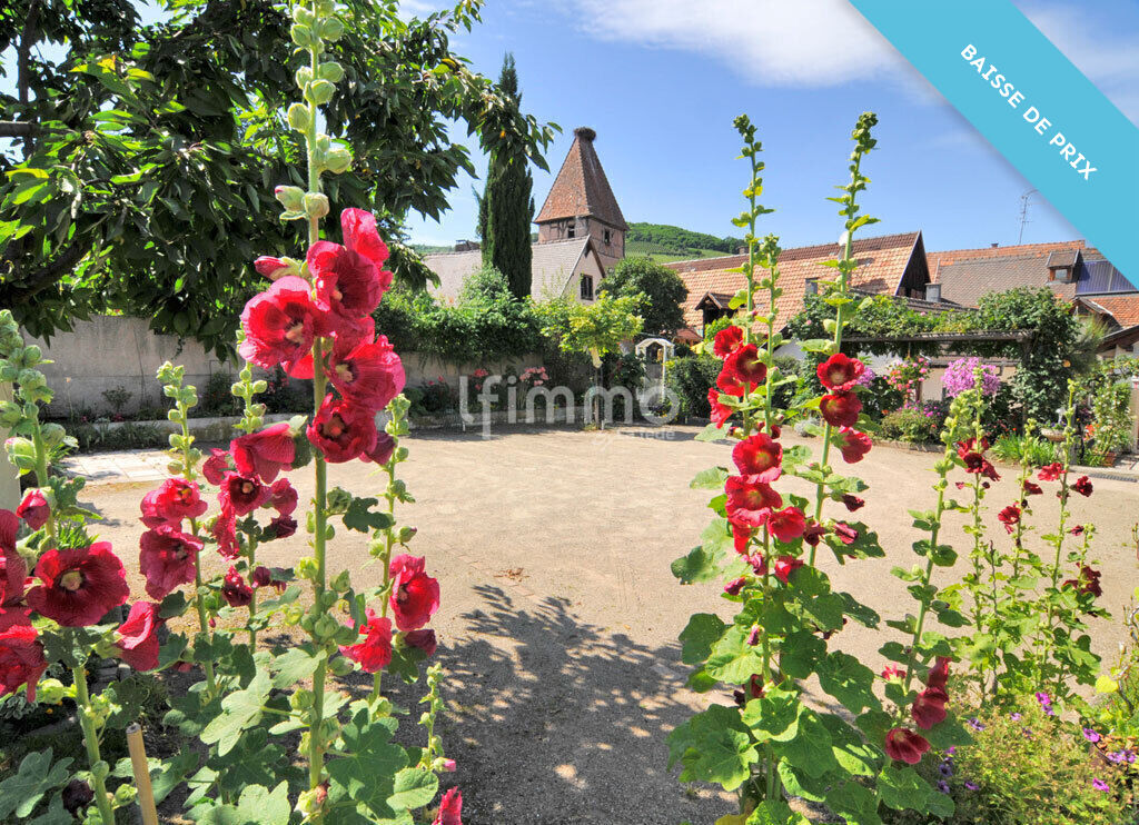 Photo 1 : Propriété de caractère - Exploitation touristique - Ammerschwihr