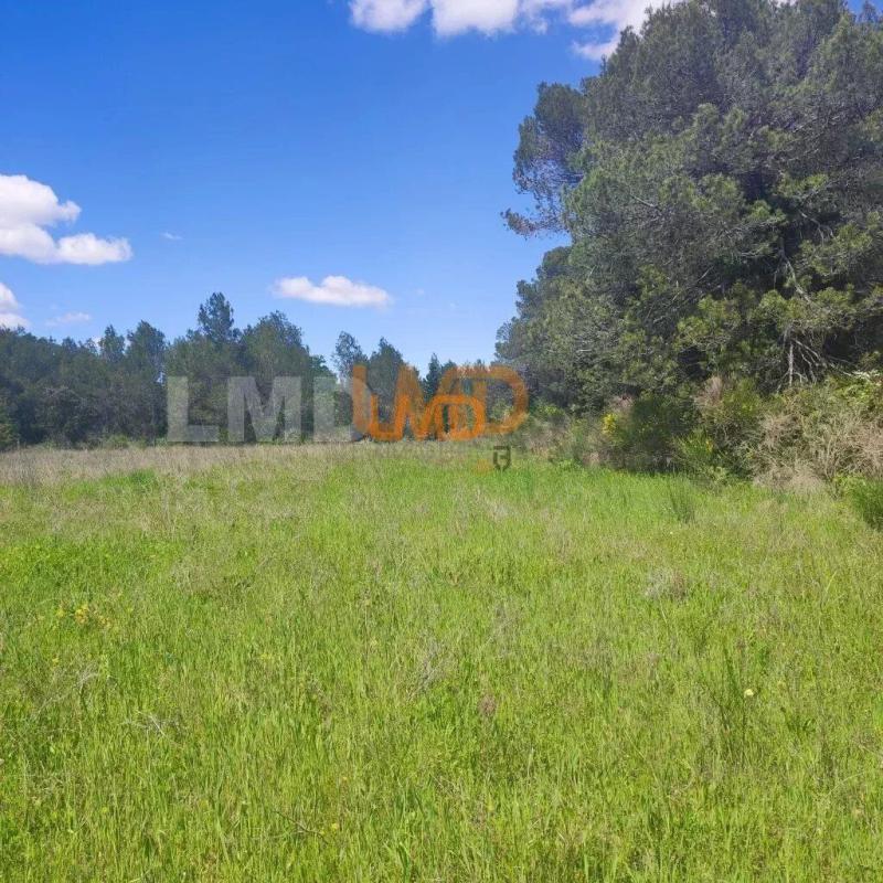 Photo 1 : Terrain Agricole et de Loisir - Nature et Espace vert