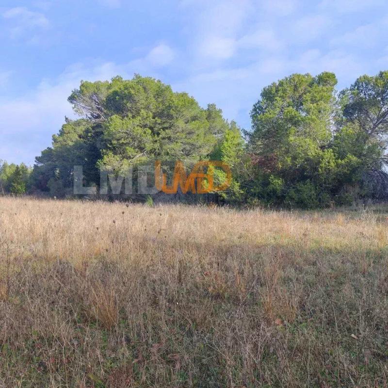 Photo 3 : Terrain Agricole et de Loisir - Nature et Espace vert