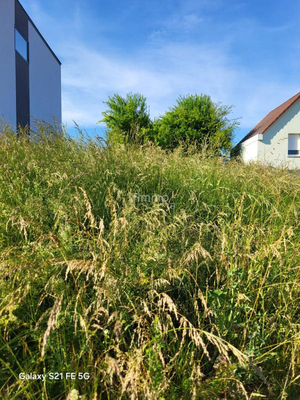 Photo 1 : Terrain de construction