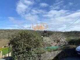 Photo 9 : Maison 2 Appartements