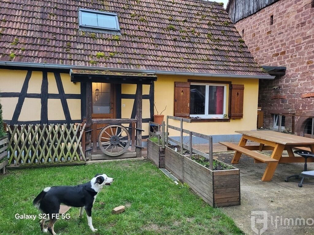 Photo 8 : Maison à Langensoultzbach