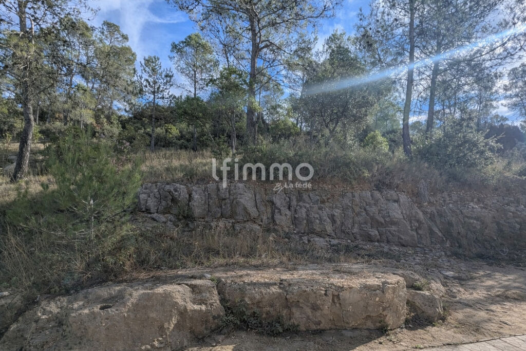 Photo 2 : La Boissière - Maison Coup de coeur