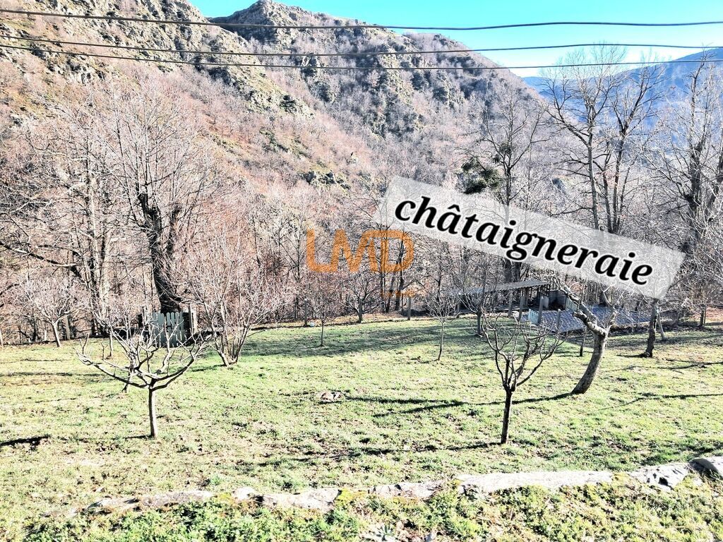 Photo 10 : Mas de charme en Lozère- Calme absolu - vue sur les montagnes