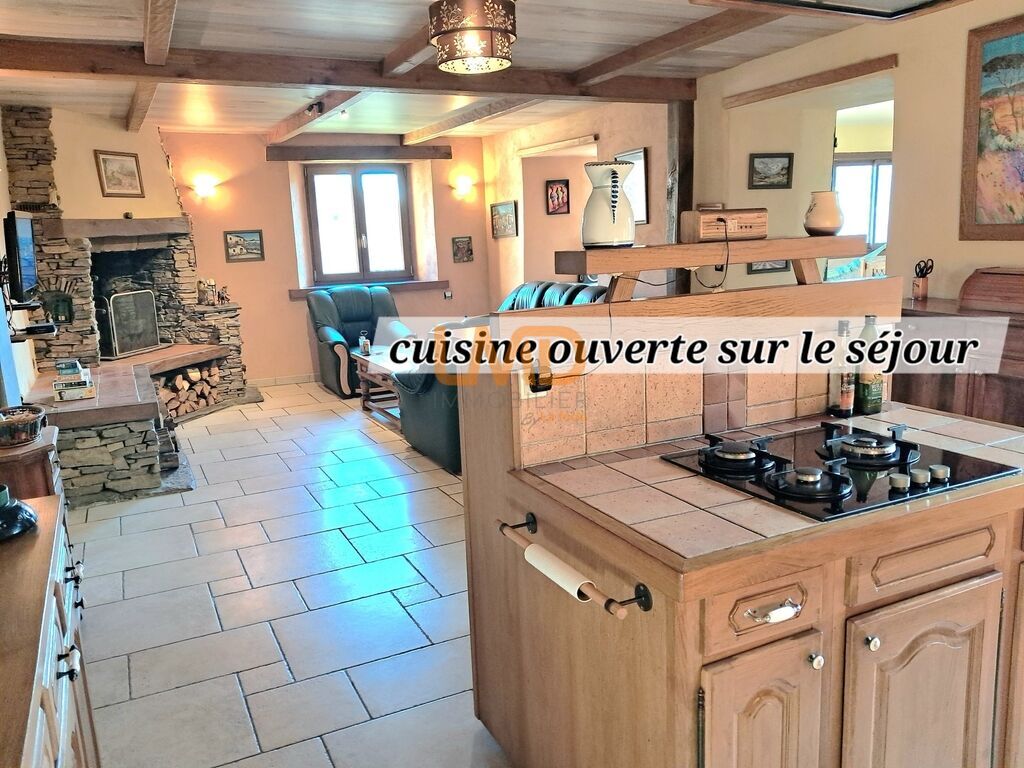 Photo 18 : Mas de charme en Lozère- Calme absolu - vue sur les montagnes