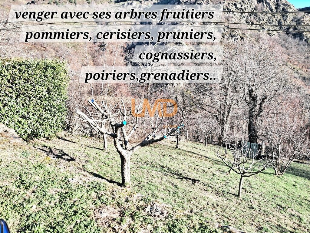 Photo 8 : Mas de charme en Lozère- Calme absolu - vue sur les montagnes