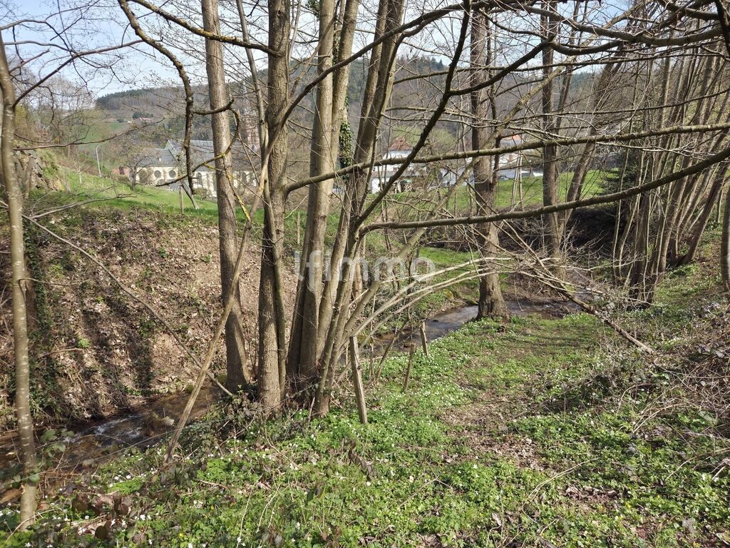 Photo 6 : Terrain constructible – 9,33 ares – Lapoutroie