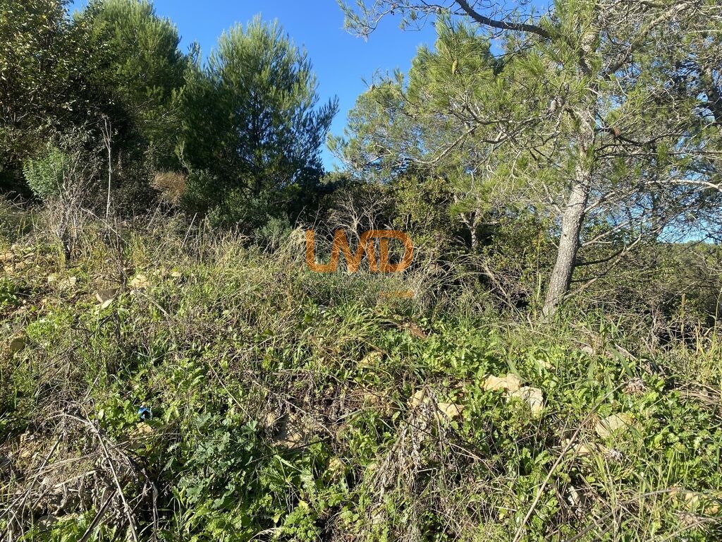 Photo 4 : Terrain avec permis et fondations d'une maison