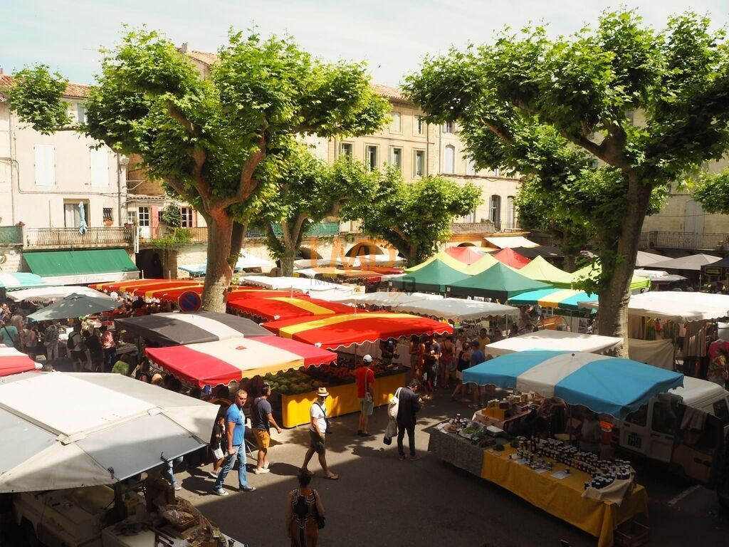 Photo 3 : Demeure de charme au coeur de Sommières, Garage, jardinet, terra