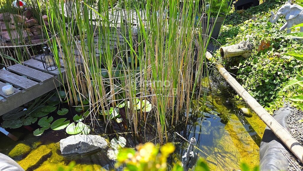 Photo 12 : Maison d’architecte, 6 pièces, double garage, piscine, Spa
