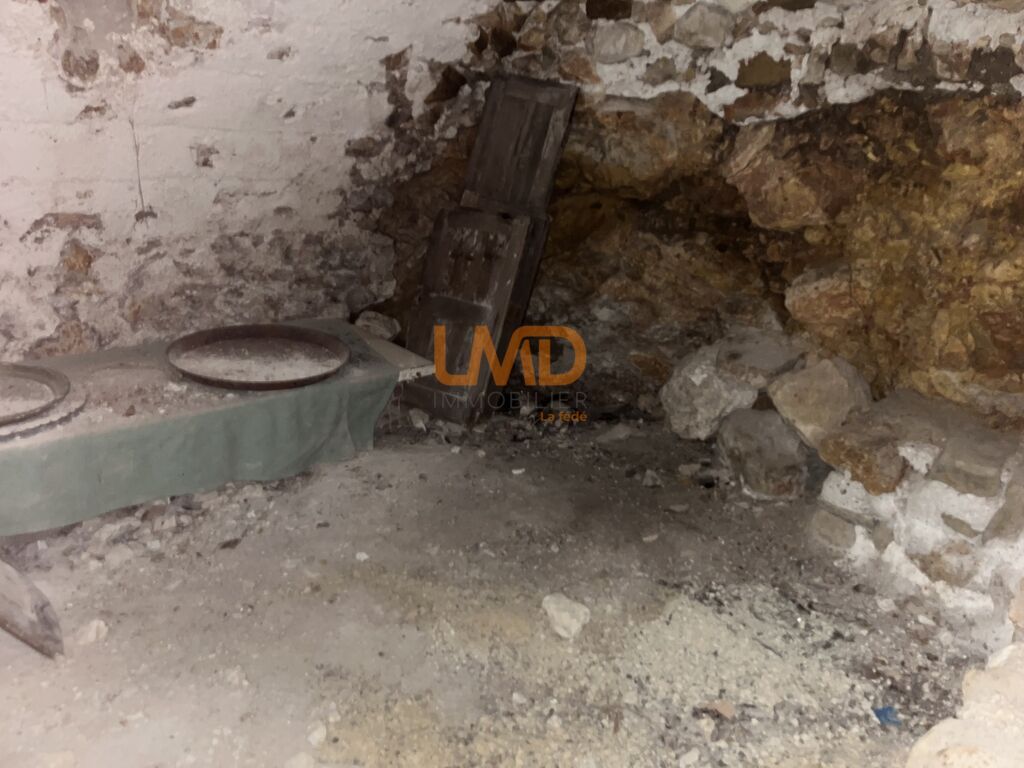 Photo 10 : Maison de village en pierre potentiel Chateaudouble calme