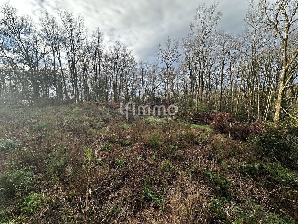 Photo 2 : Terrain constructible viabilisé avec permis, 2 931 m²