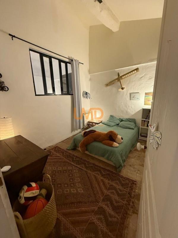 Photo 12 : maison 8 pièces 210m2, jardin