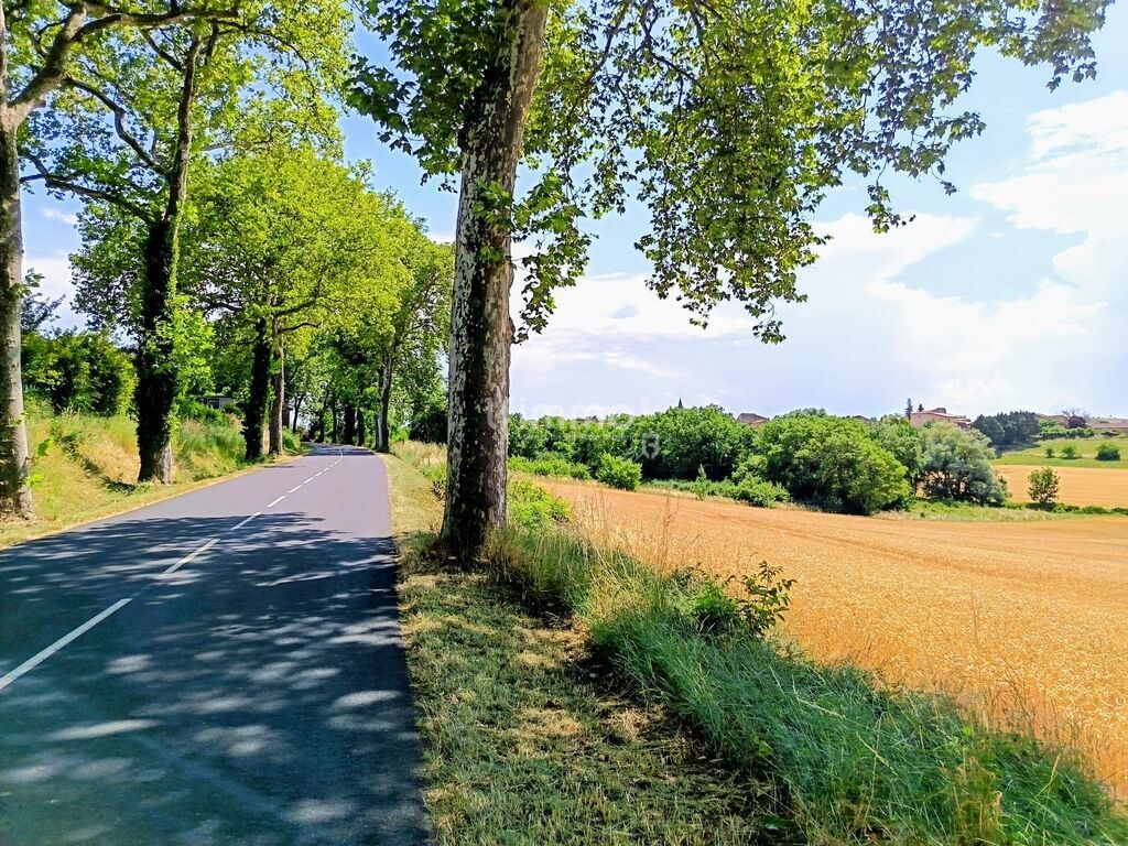 Photo 1 : Maison XIXème en pierres !