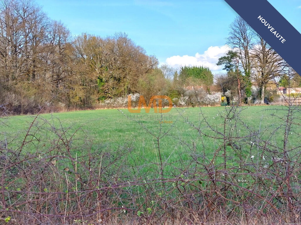 Photo 13 : 77, Montereau, maison en pierre , très bon état sur environ 1hec