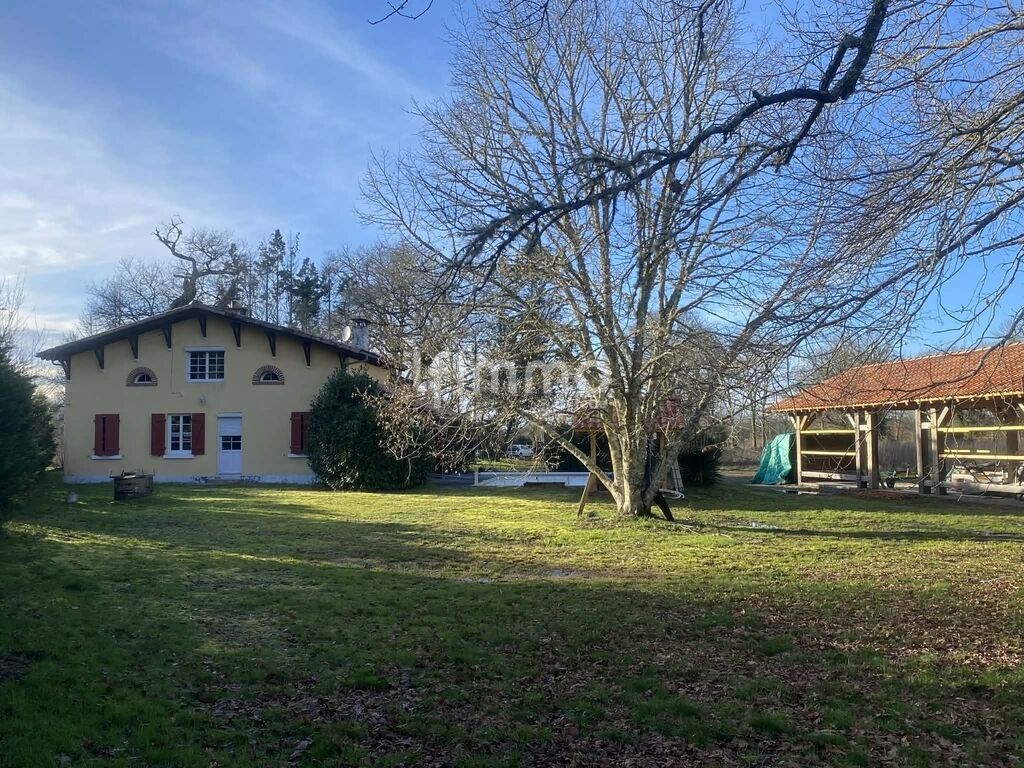 Photo 10 : Maison landaise avec piscine, dépendance et terrain