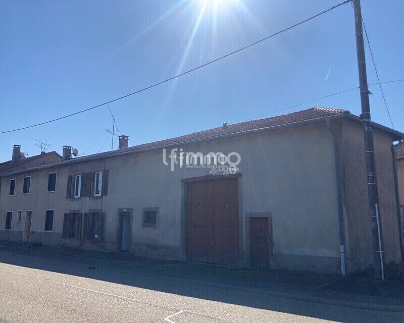 Photo 11 : Grand Corps de Ferme, à 10 mn de Dieuze