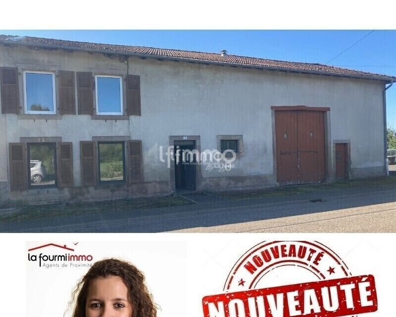 Photo 1 : Grand Corps de Ferme, à 10 mn de Dieuze