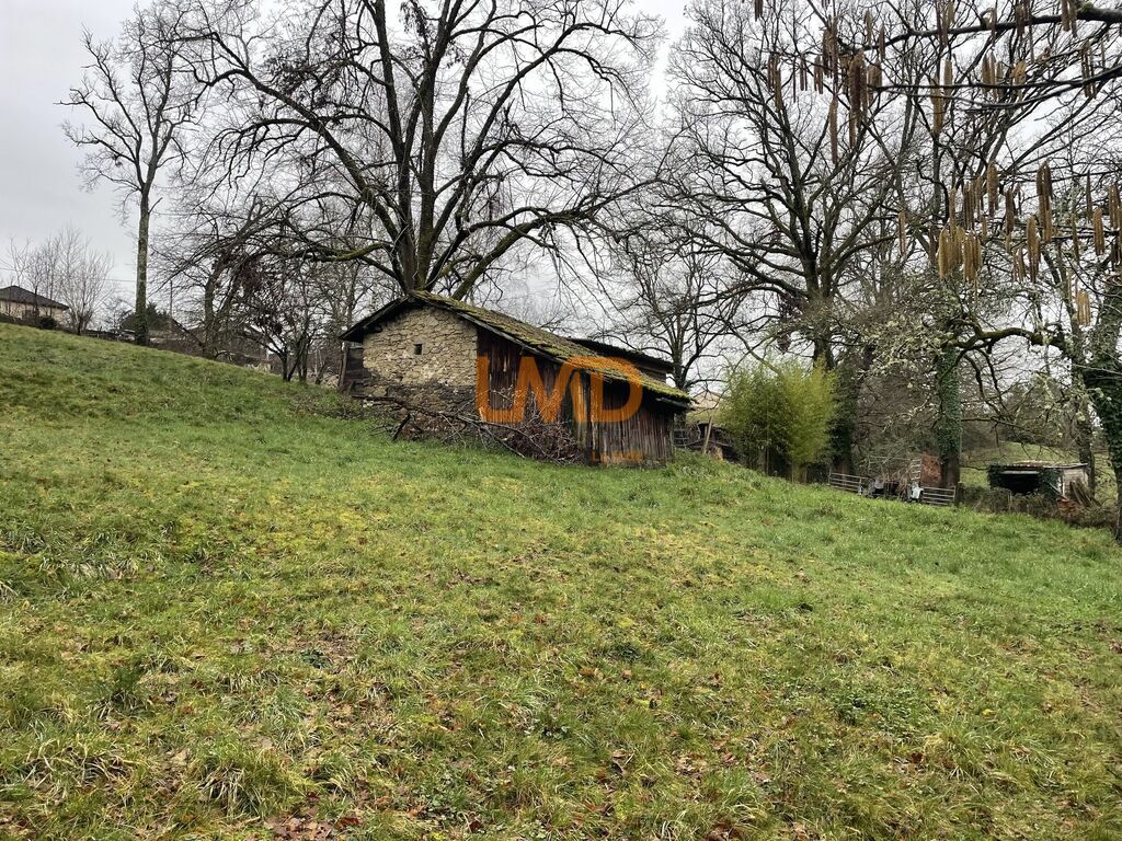 Photo 22 : Maison en pierre sur grand terrain