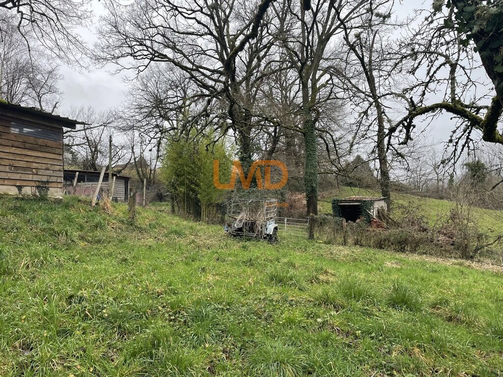 Photo 6 : Maison en pierre sur grand terrain