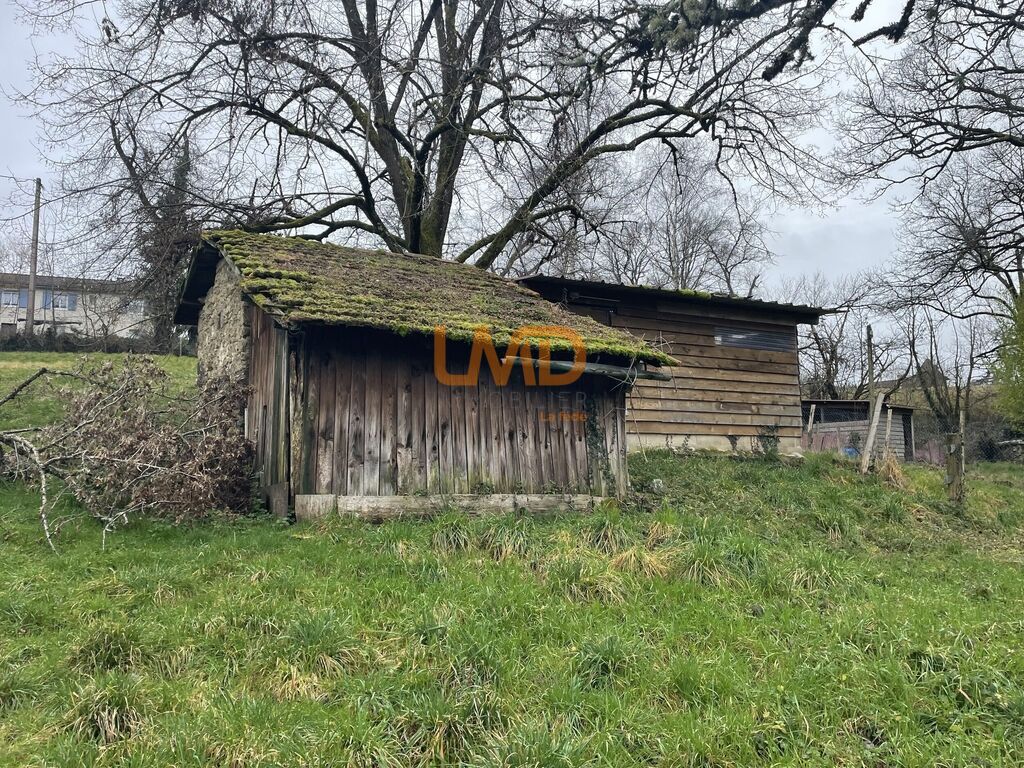 Photo 7 : Maison en pierre sur grand terrain