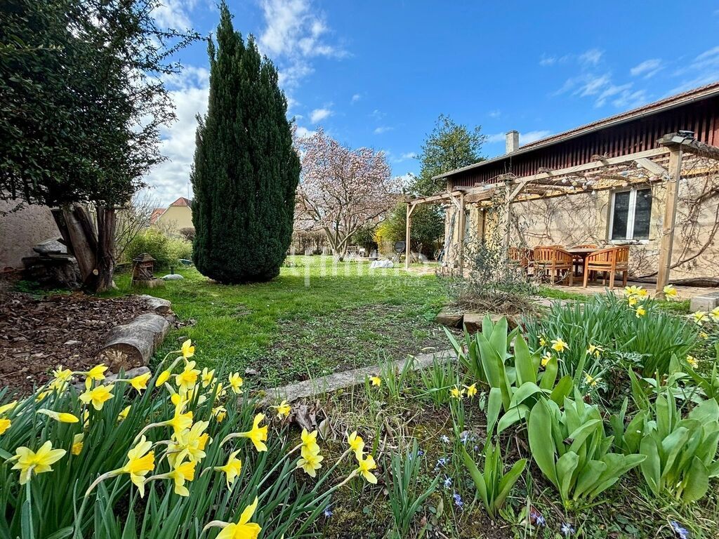 Photo 2 : À vendre à Sélestat – Élégante maison de maître avec jardin arbo