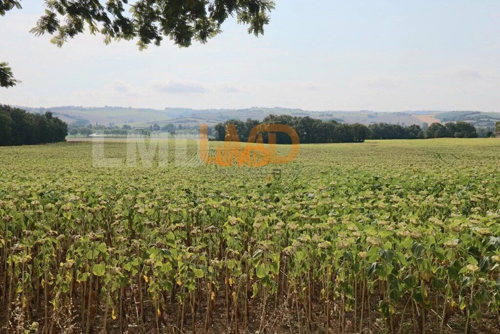 Photo 18 : Maison avec piscine sur un terrain de 15328 m² Montaut 31410