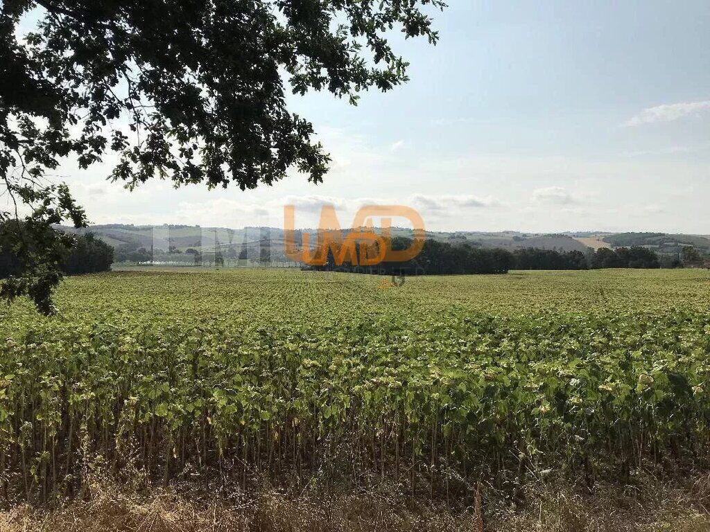 Photo 24 : Maison avec piscine sur un terrain de 15328 m² Montaut 31410