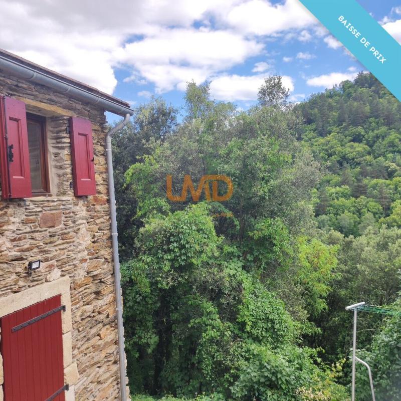 Photo 10 : Mas en Cévennes