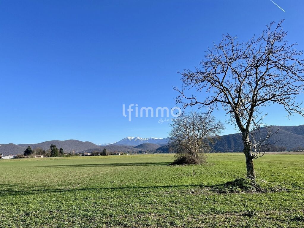 Photo 2 : Terrain constructible de 1 624 m² à Pointis-de-Rivière