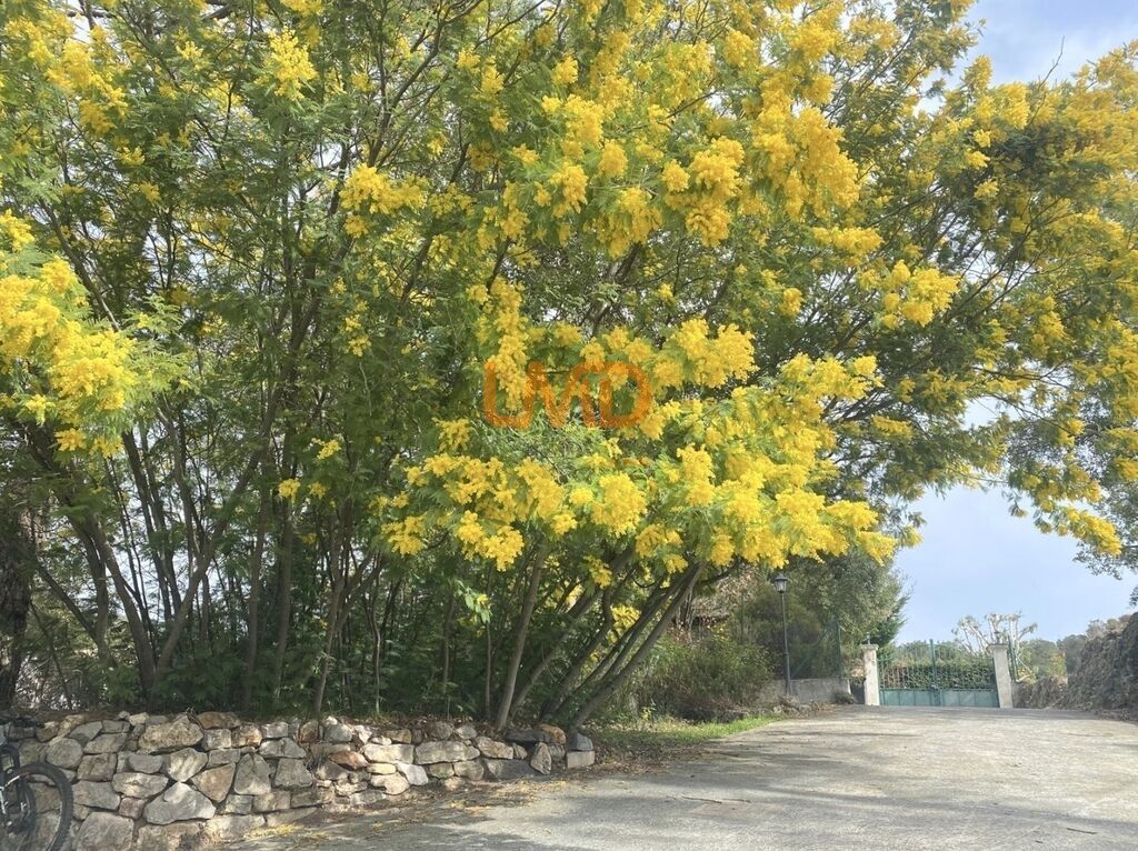 Photo 5 : Les Esterets du Lac, Montauroux: maison de 149m2