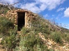 Photo 11 : Terrain de loisirs