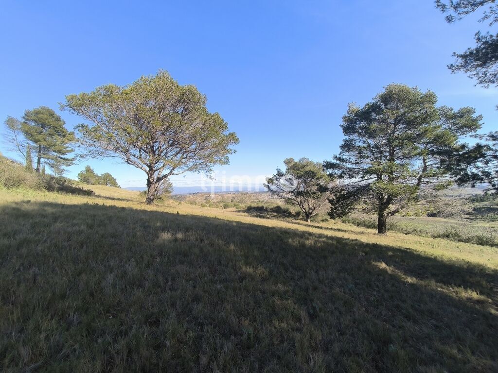 Photo 2 : Terrain de loisirs