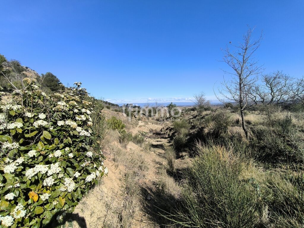 Photo 3 : Terrain de loisirs