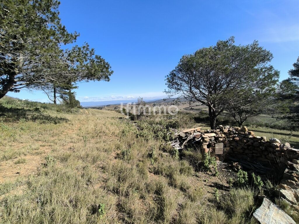 Photo 4 : Terrain de loisirs