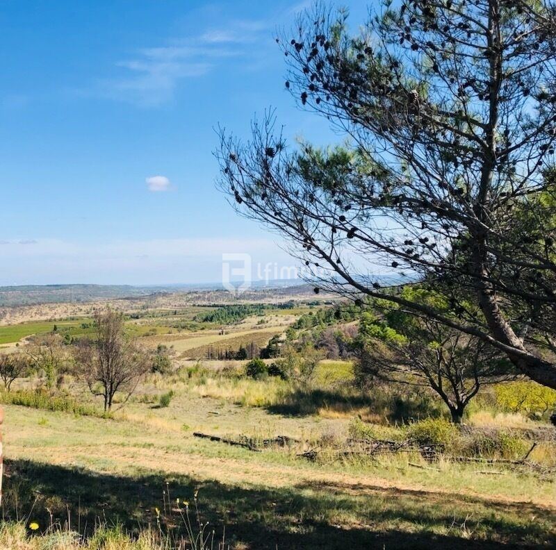 Photo 5 : Terrain de loisirs