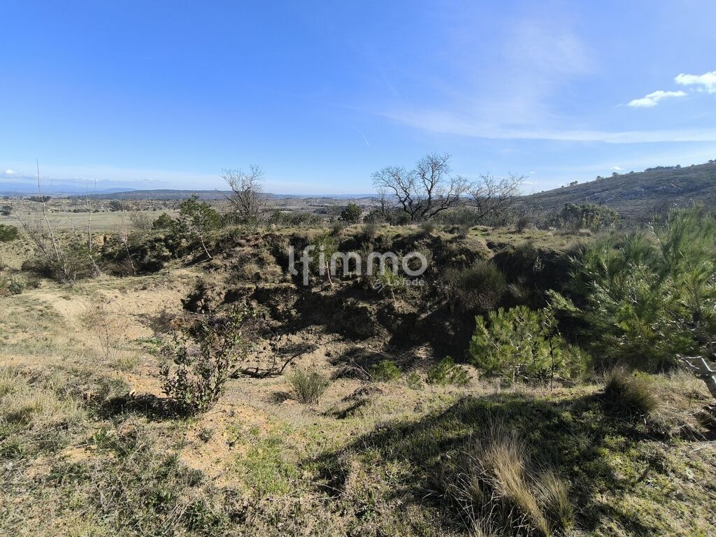 Photo 6 : Terrain de loisirs